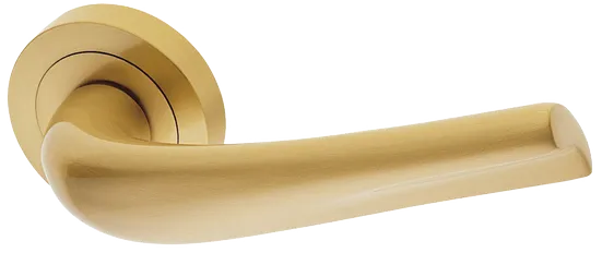 RAFT R2 OSA, ручка дверная, цвет - матовое золото фото купить Набережные Челны