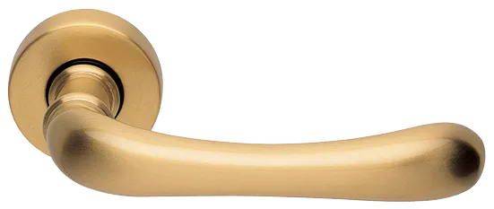RING R3-E OSA, ручка дверная, цвет - матовое золото фото купить Набережные Челны