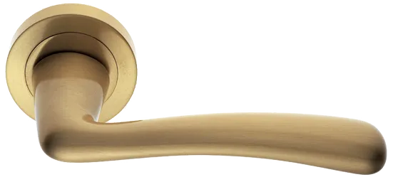 COCKATOO R2 OSA, ручка дверная, цвет - матовое золото фото купить Набережные Челны