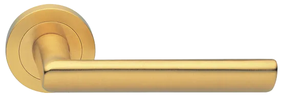 STELLA R2 OSA, ручка дверная, цвет - матовое золото фото купить Набережные Челны